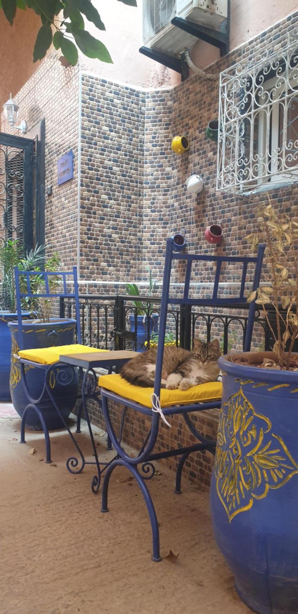 Riad Ramona Lqariya Seyaheya Marrakesh Luaran gambar